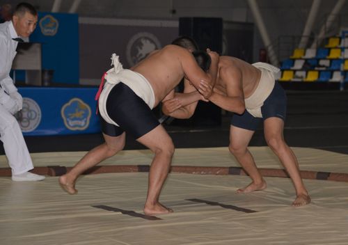 Сумога 5 делегей чемпиону киришкен