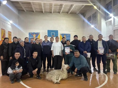 Кожууннардан медээлер
