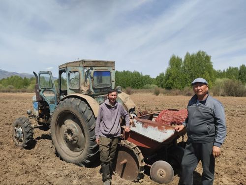 Картофель – ийиги хлеб