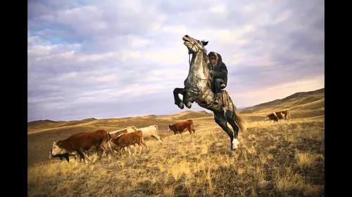 Амгы тыва эрниң ажып эртер тос бергези