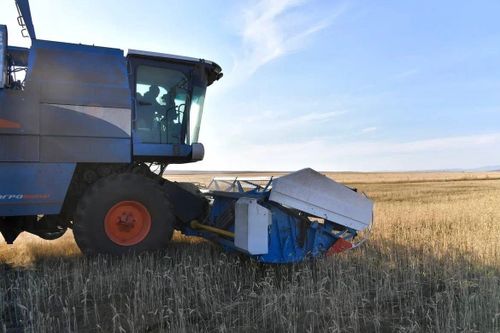 Майның бири-биле, чаңгыс чер чурттугларым!