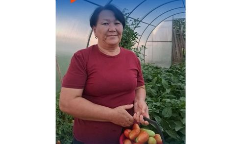 Чаагай дүжүт