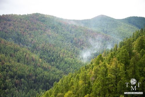 Тывада арга-арыг өрттерин өжүрер ажылдар уламчылап турар