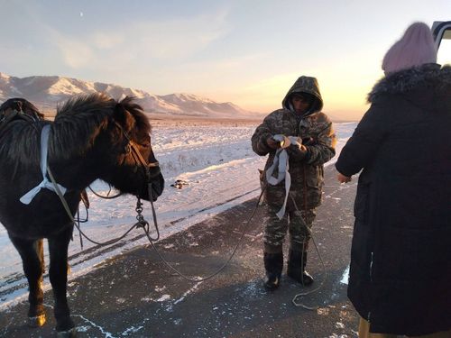 Мал эмчилери Хүүректигге четкен.