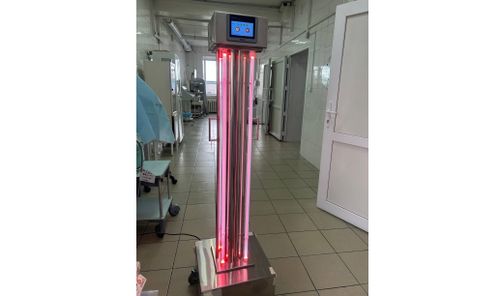 Айыыл чок арыглаашкын