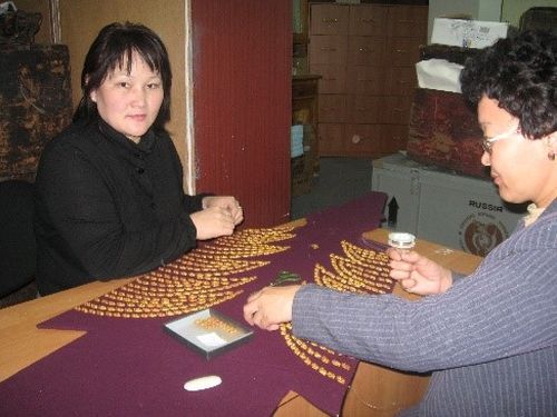 Төөгү шыгжамырының шинчилекчизи