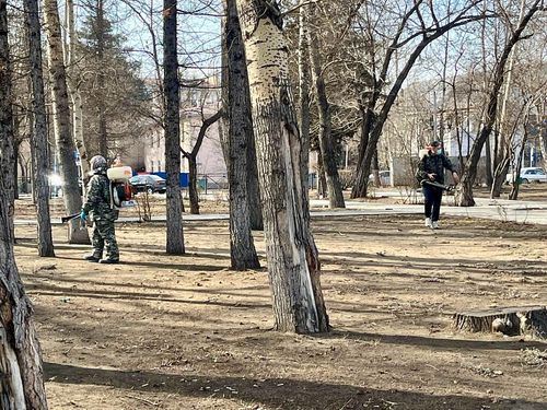 Муниципалдыг чагыргалар хөй улус баар черлерге саргылардан сезоннуг камгалалды хандырар ужурлуг