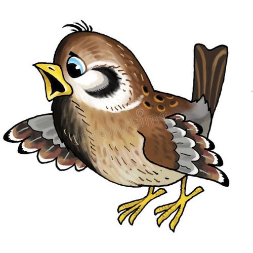 Бичии кушкаш Шиижек