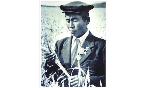 Тываларның аразындан баштайгы маадыр