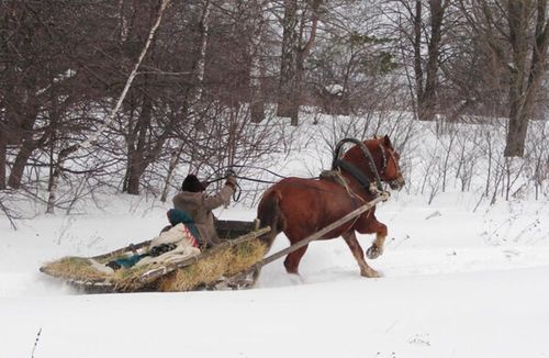 Бир-ле кыжын…