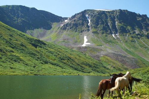 Тыва поэзияның дээжизи