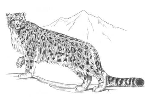 Ирбиш. / Моторк Дирчин.