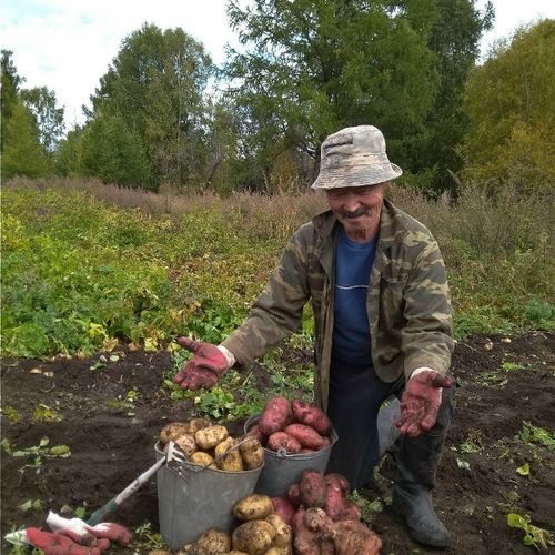 Көдээде амыдырал