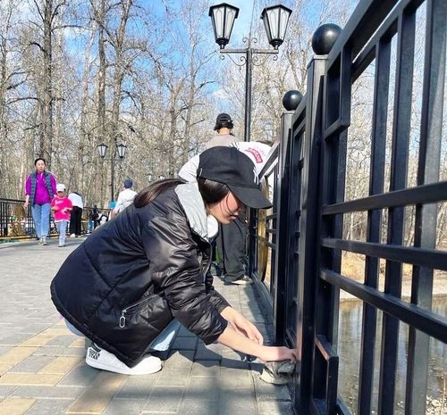 Чайгы сезон ажыдыышкыны