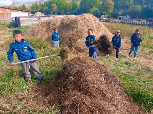 Ажыл-ишчи мөренчилер