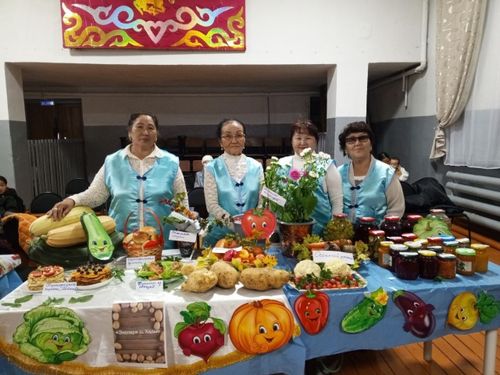 Кожууннардан медээлер