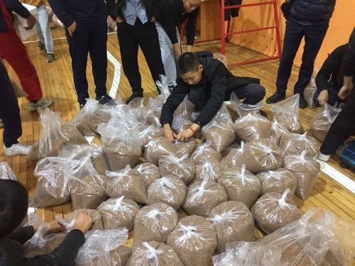 Чүрээвистиң кезиин - чаңгыс чер-чурттугларывыска.