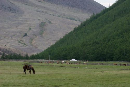 МӨҢГҮН БИЛЗЕК