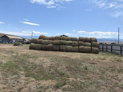 Ажылы кызымак