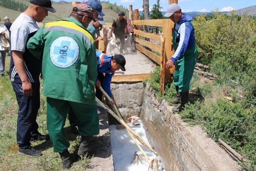 Эрги арганы ээлдирип турар