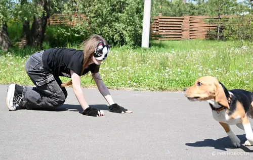 Хоруур дугайында хоойлуну ажылдап турар