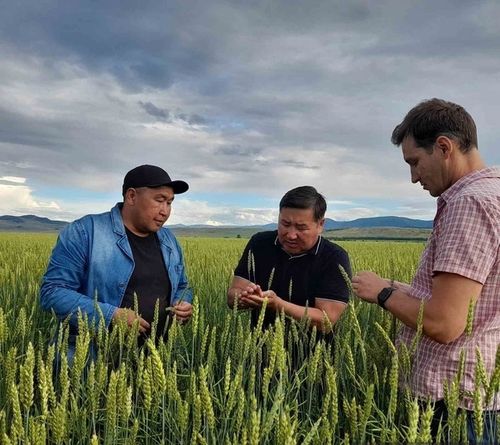 Арат-фермер болуксаар аныяктарга деткимчелер хөй