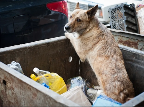 Аяк шайны аартап ора.