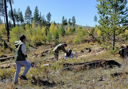 Тывага 2,6 сая өзүмнерни олуртур