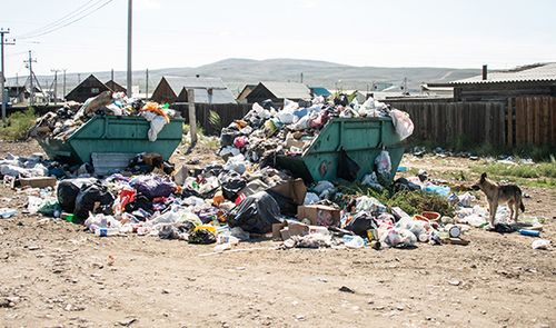 Ам база бок айтырыы