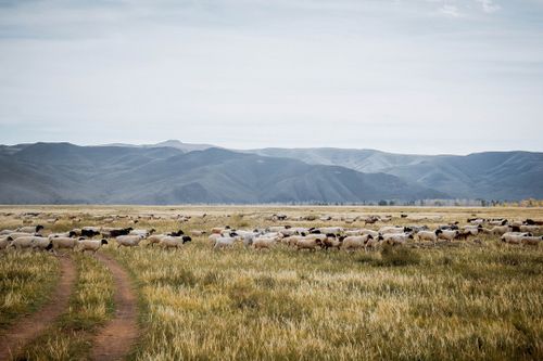 Өрге кежи безин өртектиг турган