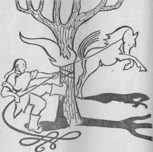 Өрттенген терек