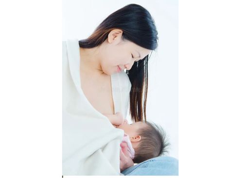 Аңаа чедер хоолулуг чем чок