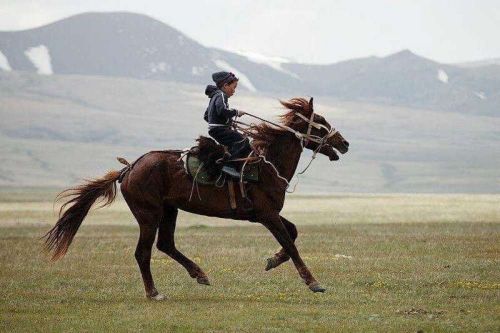 Сөстерниң, ужурларның чижек тайылбырлары