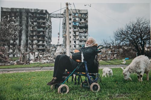 Оорга чымырткайны бээр