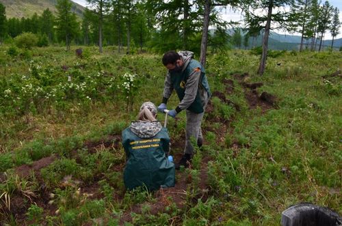 Арга-арыгны катап тургузар шинчилелдер