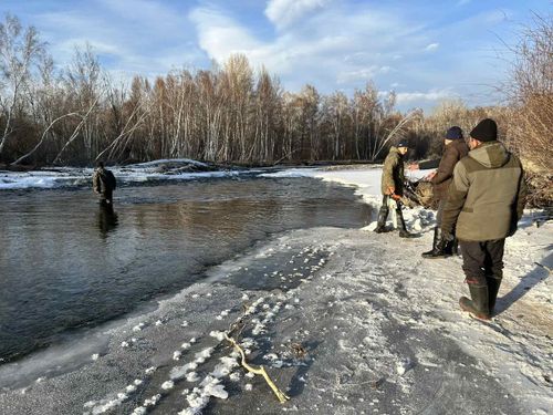 Баш бурунгаар хемчеглер