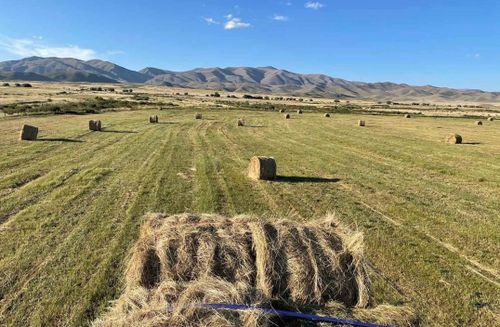 Мал чемин белеткээр кампания доозулган