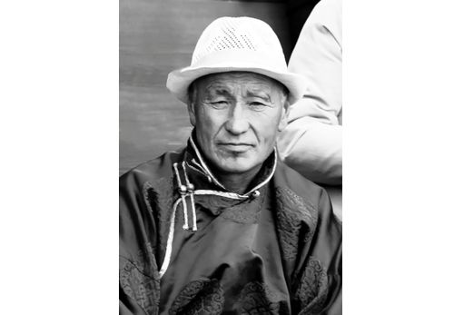 Салгал дамчаан чылгычылар