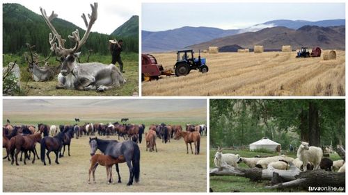 Чылдың дөрт үезинде...