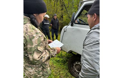 Арга-арыг инспекторлары хайгааралды күштелдирер