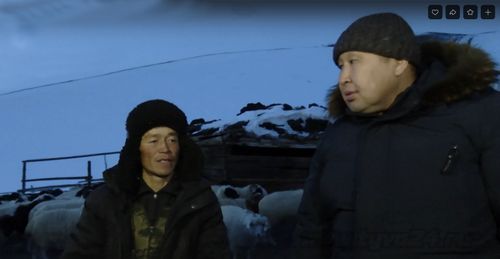 Амыдырал хайнып турар