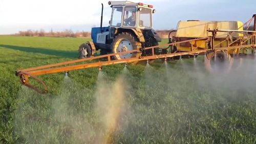 Суук чемишчидилгени идепкейлиг ажыглап эгелээн