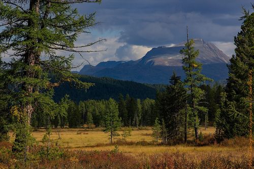 Арга-арыг участогун бээри онза чурумнуг