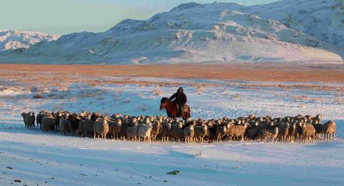 Тайып ужар, даянып турар