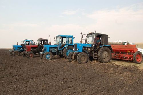 Тывада часкы хову ажылдарынга белеткел эгелээн