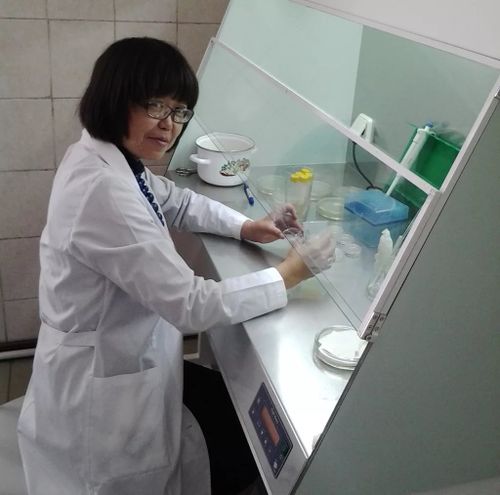 Бүрүс – айыылдыг, хензиг бүдүмел-дир, оон камгаланыры чугула