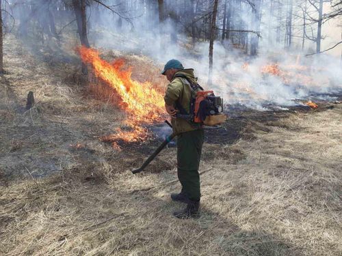 Карантин үезинде кижилерниң буруузу-биле 3 тайга өрттенип турар