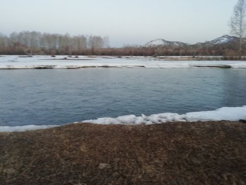 Тайгада хар эрип, бадып эгелээн