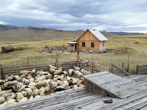 «Аныяк өг-бүлеге кыштаг» түңнелдерин үндүрген