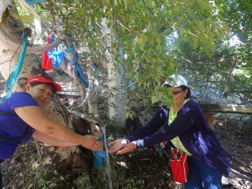 АВЫРАЛДЫГ АРЖААННАРЫВЫС